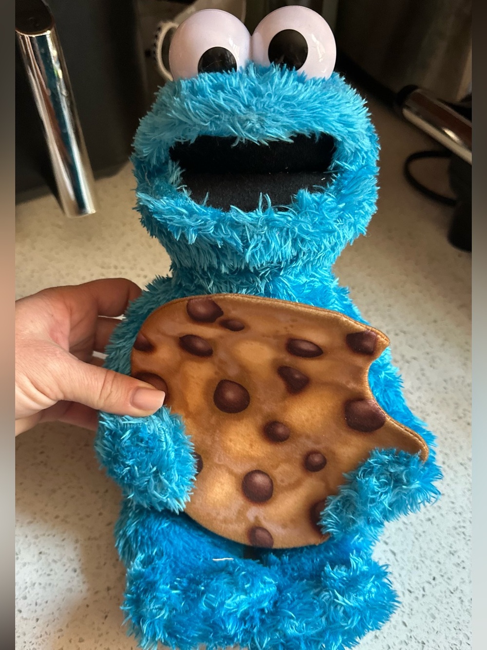 Sesame Street Peekaboo Cookie Monster
